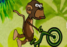 Motorlu Maymun